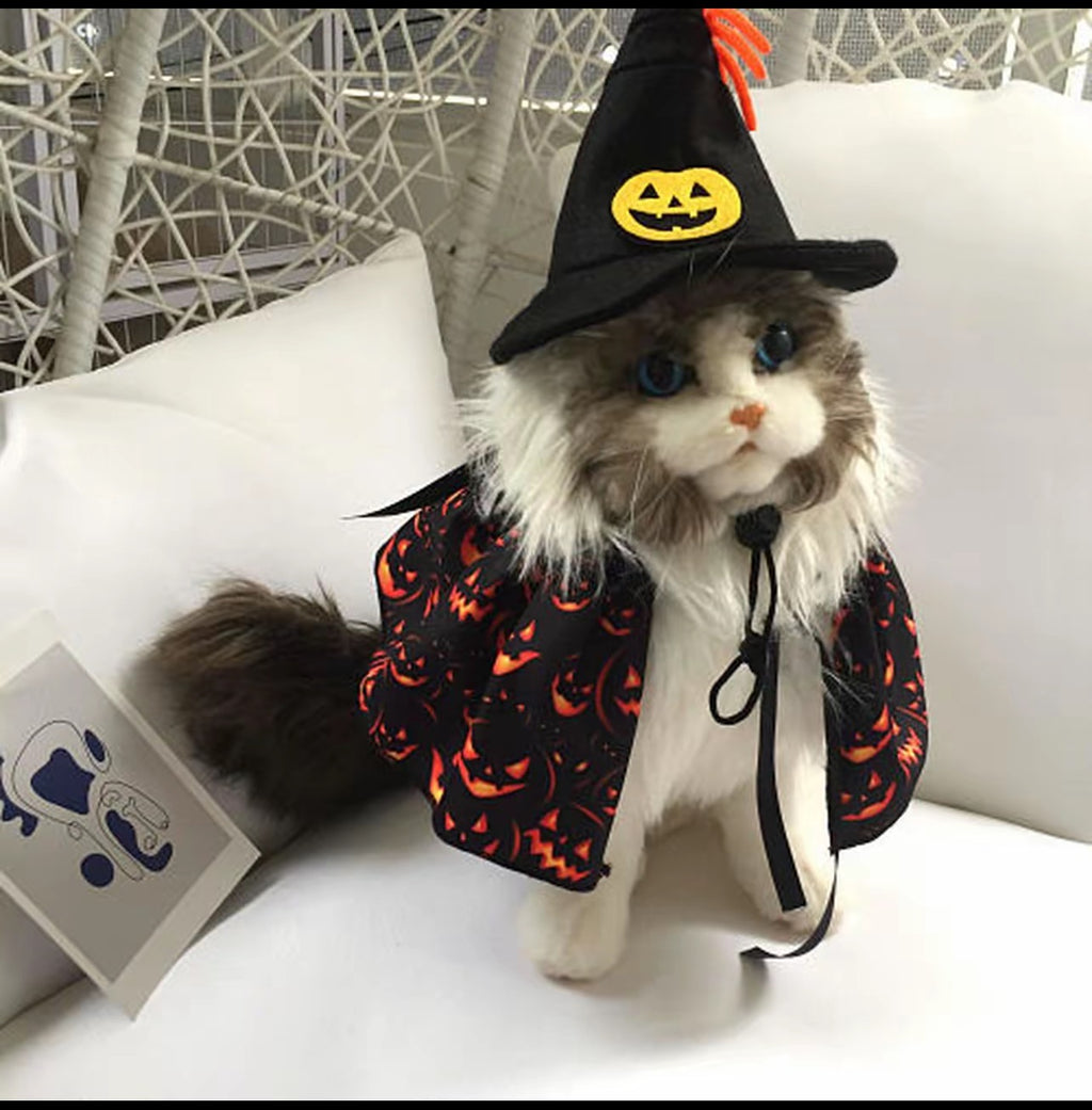 Halloween Cat and Dog Costumes and Party Decorations