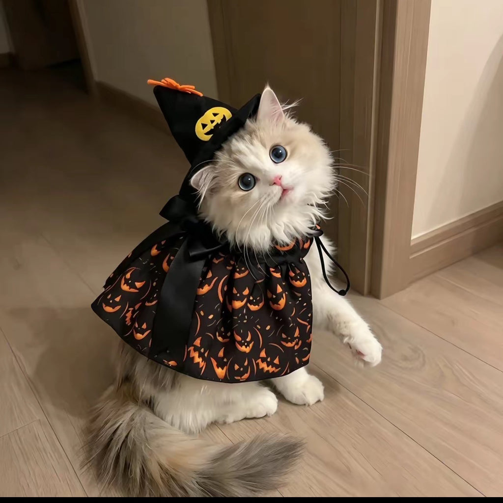 Halloween Cat and Dog Costumes and Party Decorations